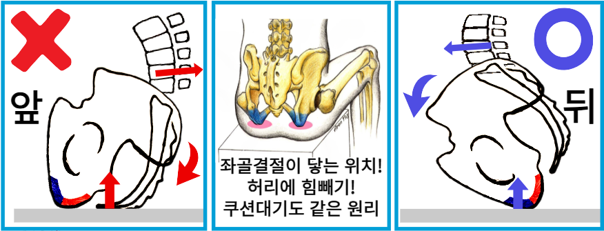 Sit Bone Sitting Guide