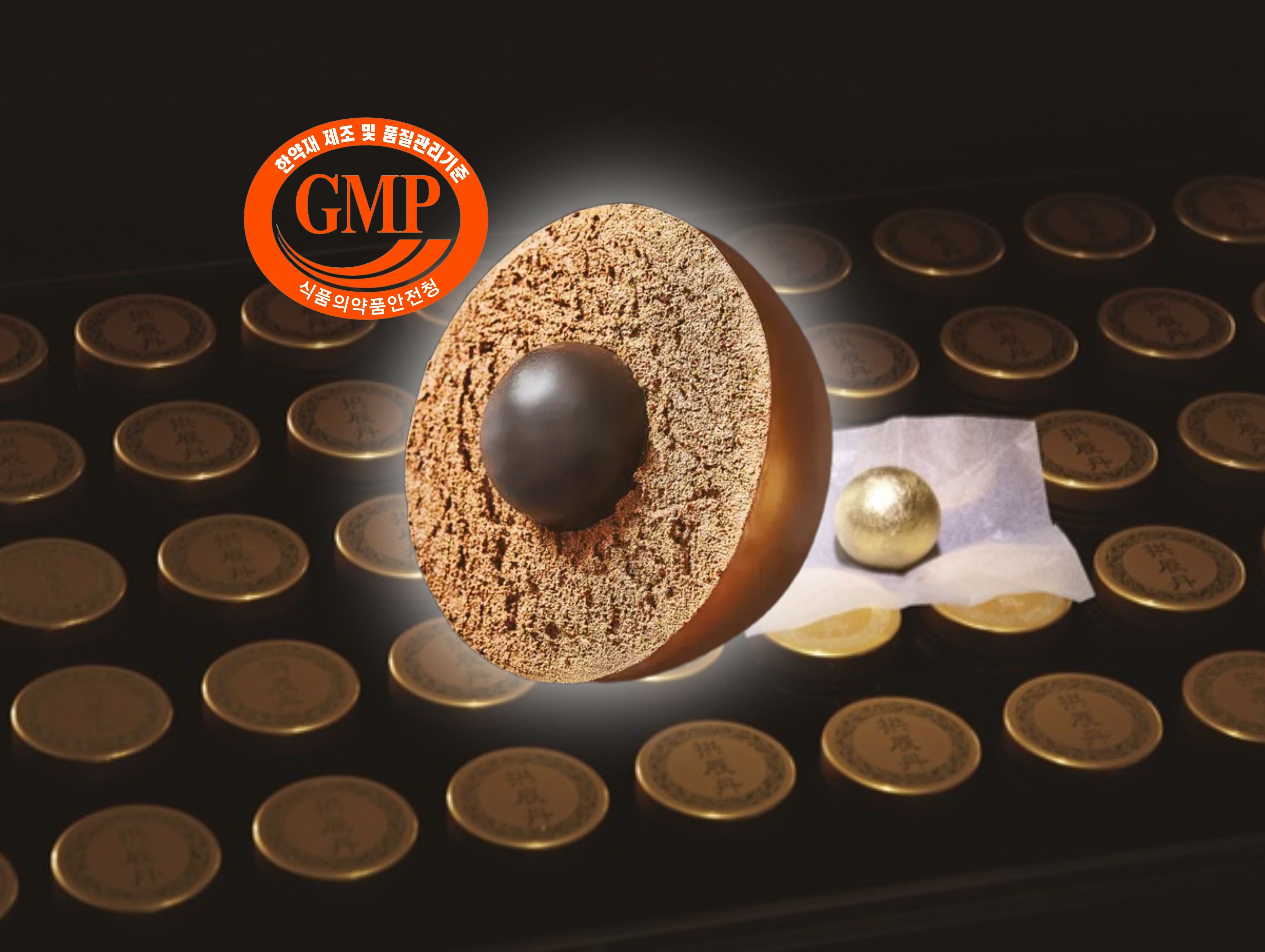 씨알공진단 경옥고